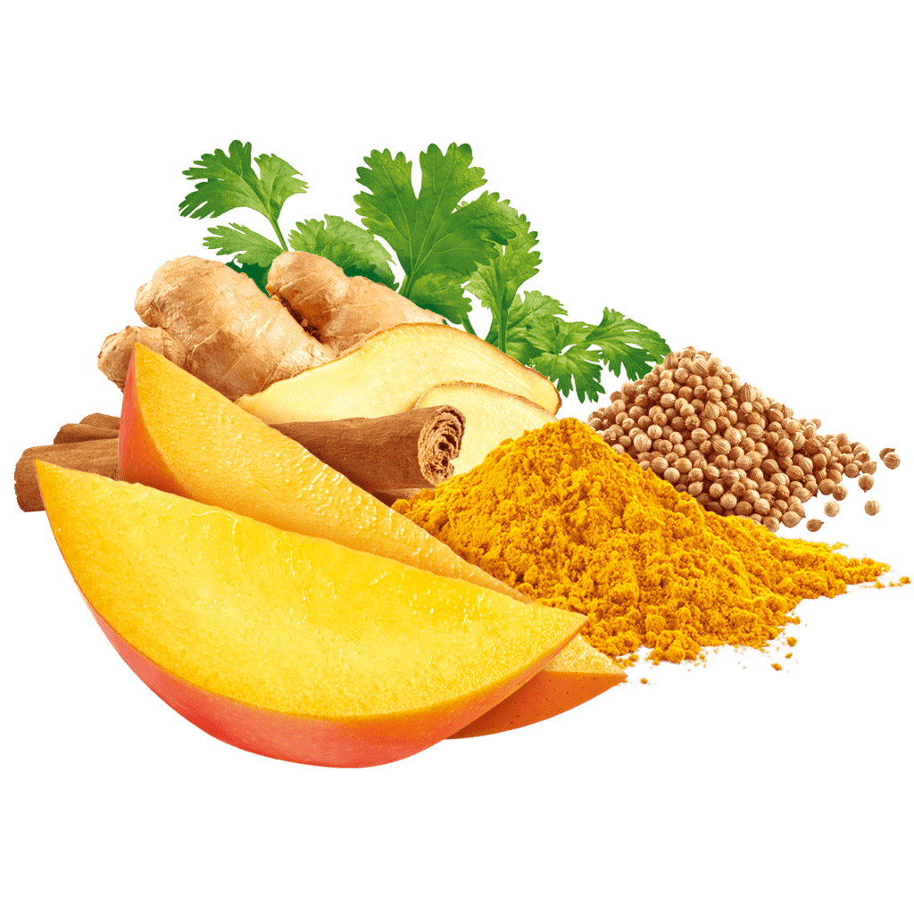 Mango mit Zimt, Ingwer, Koriander und Curcuma