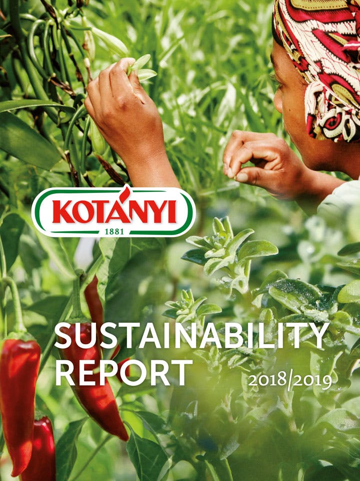 Sustainability Report Image