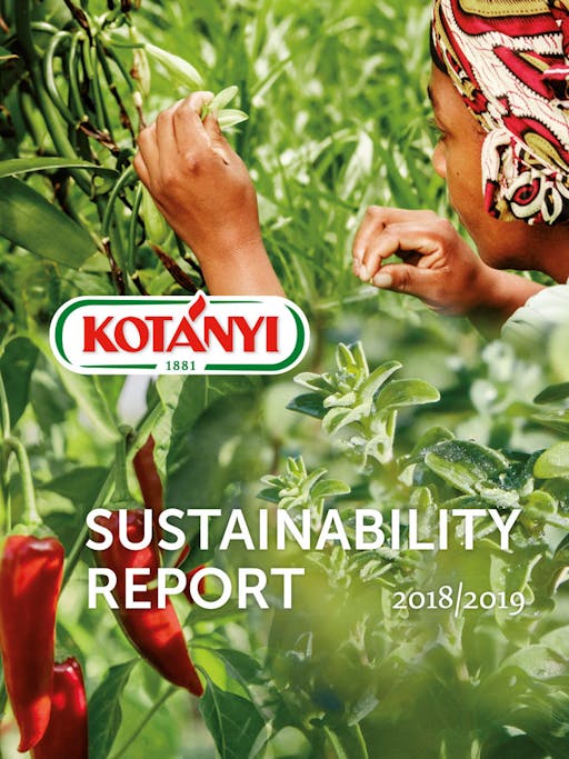 Sustainability Report Image