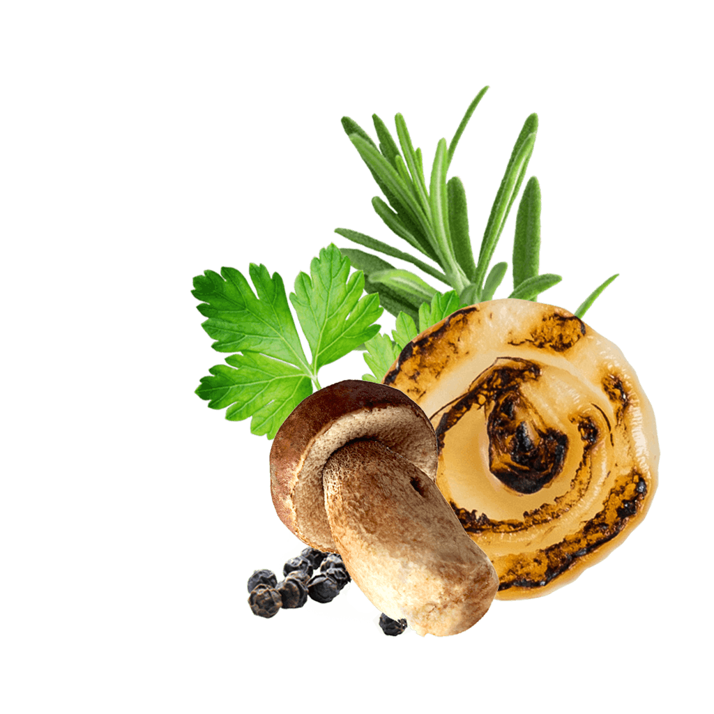 Pesto Mushroom Kotanyi Detail Edit